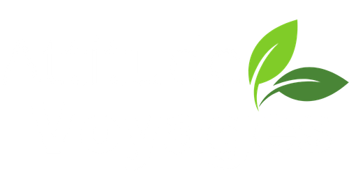 Attitude Voyages