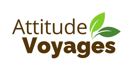 Attitude Voyages